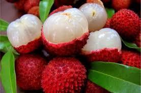 163463816316367846 iccug что это значит