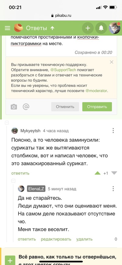 Иллюстрация к комментарию