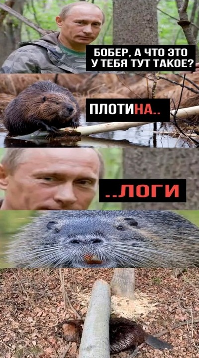 Зависть фраера сгубила что значит. Смотреть фото Зависть фраера сгубила что значит. Смотреть картинку Зависть фраера сгубила что значит. Картинка про Зависть фраера сгубила что значит. Фото Зависть фраера сгубила что значит Зависть фраера сгубила что значит. Смотреть фото Зависть фраера сгубила что значит. Смотреть картинку Зависть фраера сгубила что значит. Картинка про Зависть фраера сгубила что значит. Фото Зависть фраера сгубила что значит