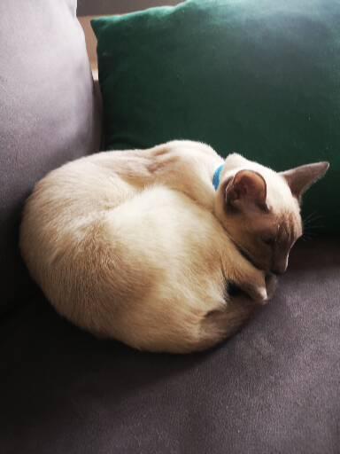 лицо морти которого можно тянуть. Смотреть фото лицо морти которого можно тянуть. Смотреть картинку лицо морти которого можно тянуть. Картинка про лицо морти которого можно тянуть. Фото лицо морти которого можно тянуть лицо морти которого можно тянуть. Смотреть фото лицо морти которого можно тянуть. Смотреть картинку лицо морти которого можно тянуть. Картинка про лицо морти которого можно тянуть. Фото лицо морти которого можно тянуть