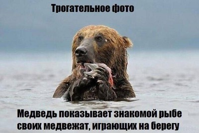 Спасти рядового райана что такое фубар. Смотреть фото Спасти рядового райана что такое фубар. Смотреть картинку Спасти рядового райана что такое фубар. Картинка про Спасти рядового райана что такое фубар. Фото Спасти рядового райана что такое фубар