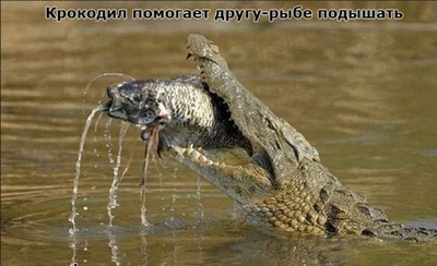 Спасти рядового райана что такое фубар. Смотреть фото Спасти рядового райана что такое фубар. Смотреть картинку Спасти рядового райана что такое фубар. Картинка про Спасти рядового райана что такое фубар. Фото Спасти рядового райана что такое фубар