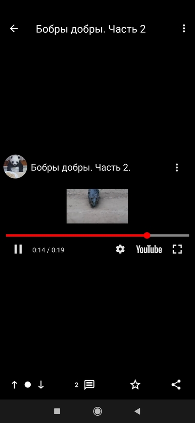 говорят что бобры добры добротою бобры полны. Смотреть фото говорят что бобры добры добротою бобры полны. Смотреть картинку говорят что бобры добры добротою бобры полны. Картинка про говорят что бобры добры добротою бобры полны. Фото говорят что бобры добры добротою бобры полны