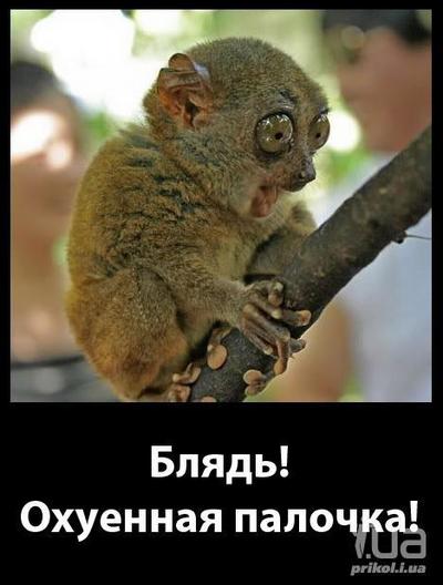 что делать если стало скучно в скайриме. Смотреть фото что делать если стало скучно в скайриме. Смотреть картинку что делать если стало скучно в скайриме. Картинка про что делать если стало скучно в скайриме. Фото что делать если стало скучно в скайриме