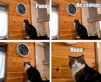 и тут я накрыл что меня поняло. и тут я накрыл что меня поняло фото. картинка и тут я накрыл что меня поняло. смотреть фото и тут я накрыл что меня поняло. смотреть картинку и тут я накрыл что меня поняло.
