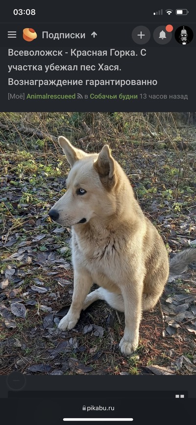 Иллюстрация к комментарию