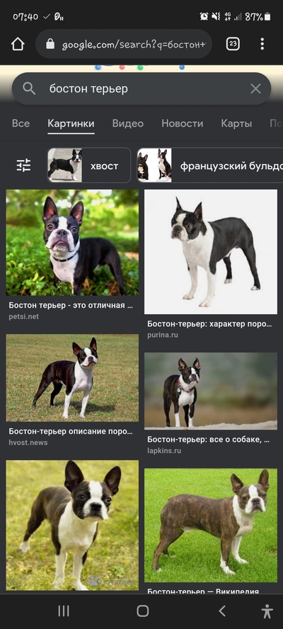 ����������� � �����������