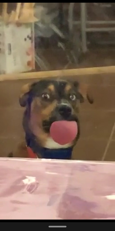 в следующий раз так и сделаю. Смотреть фото в следующий раз так и сделаю. Смотреть картинку в следующий раз так и сделаю. Картинка про в следующий раз так и сделаю. Фото в следующий раз так и сделаю в следующий раз так и сделаю. Смотреть фото в следующий раз так и сделаю. Смотреть картинку в следующий раз так и сделаю. Картинка про в следующий раз так и сделаю. Фото в следующий раз так и сделаю