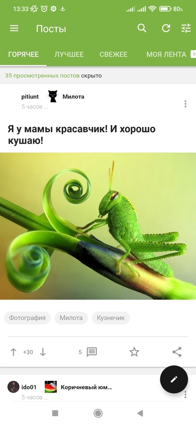 Иллюстрация к комментарию