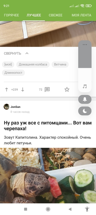 ����������� � �����������