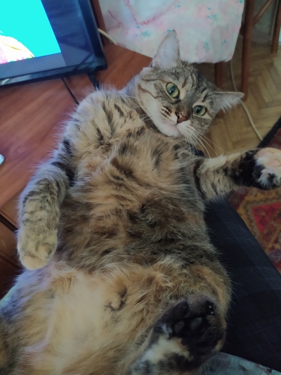 Иллюстрация к комментарию