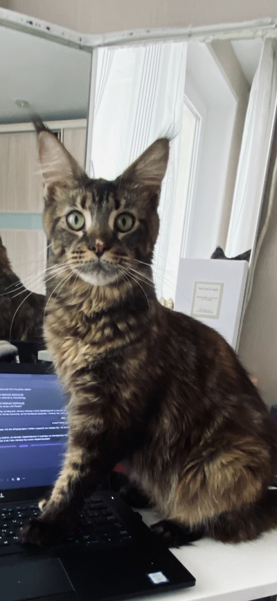 Иллюстрация к комментарию