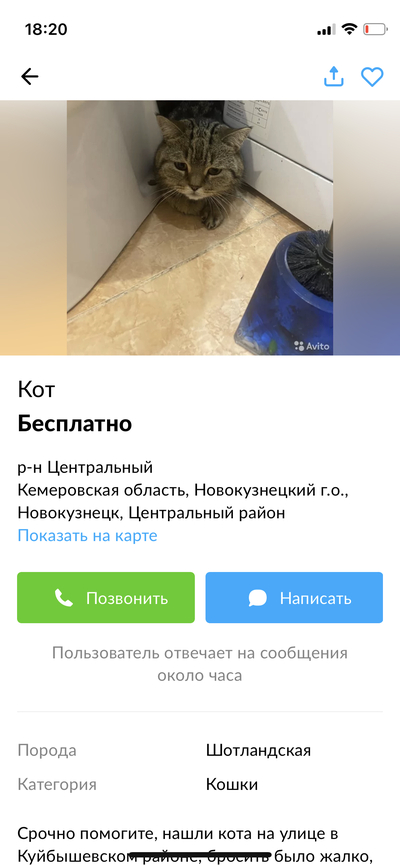 Иллюстрация к комментарию