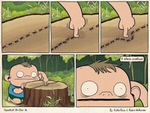 Иллюстрация к комментарию