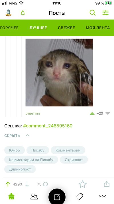Иллюстрация к комментарию