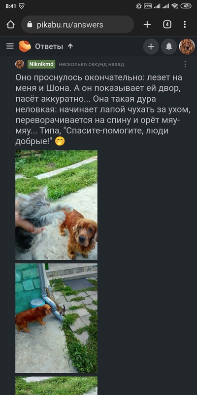 Иллюстрация к комментарию
