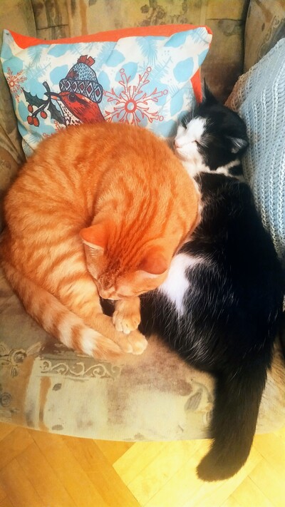 ����������� � �����������