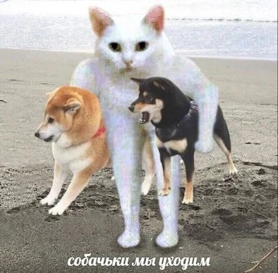 1664828844150746515.webp