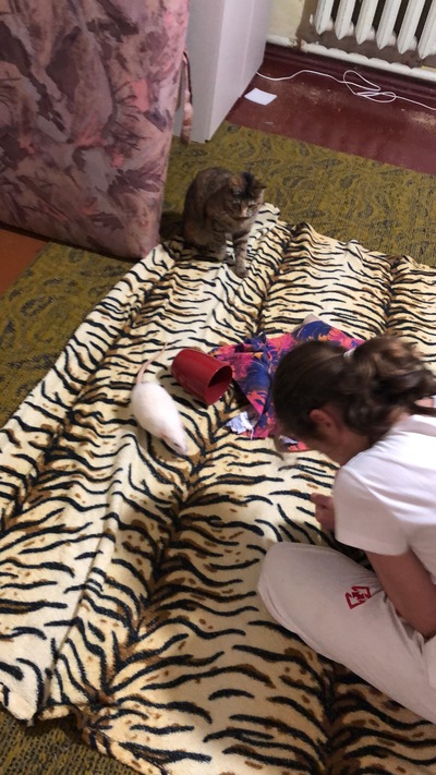 ����������� � �����������