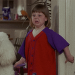 Предпросмотр