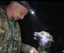 ������ ����