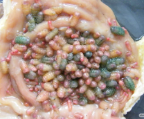 ������N� 