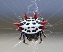 ���� � ����