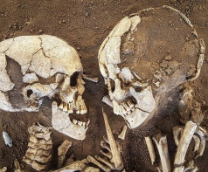 ������ ������ ����?