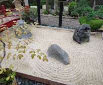 �������� ����