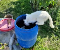 ���� � �� ������