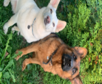 ���� �������� �����?