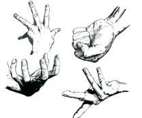 ������ ���������