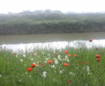 ���� � ��� , ��� ���� �� ����� ������ �� ���� ����