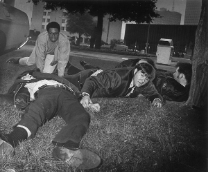 �������� �����������