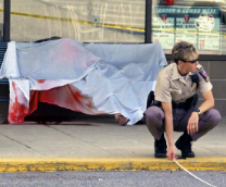 ���� �������������� ���������