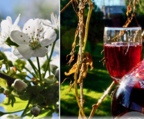 ������� ���... � �����������