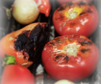 ����� ... �������