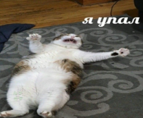 ������� ��������