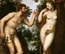 �������������