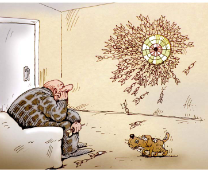 ��������� � ��� � ����