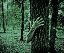 ���� �������