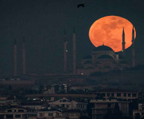 ������ ����������. ��������� ������������� �����