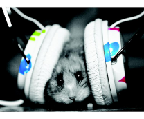 ����������� �����������