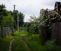 ���� ������