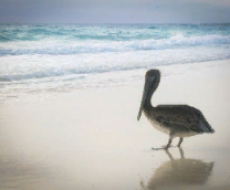 � ������ ��������