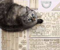 ����������� ����������� ������.���