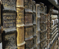 ������������ �����