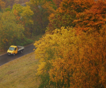 ������ ������ �.