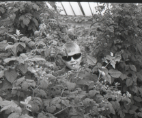 ������� �� �������