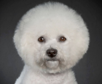 � ������� ���� ������ �������������.